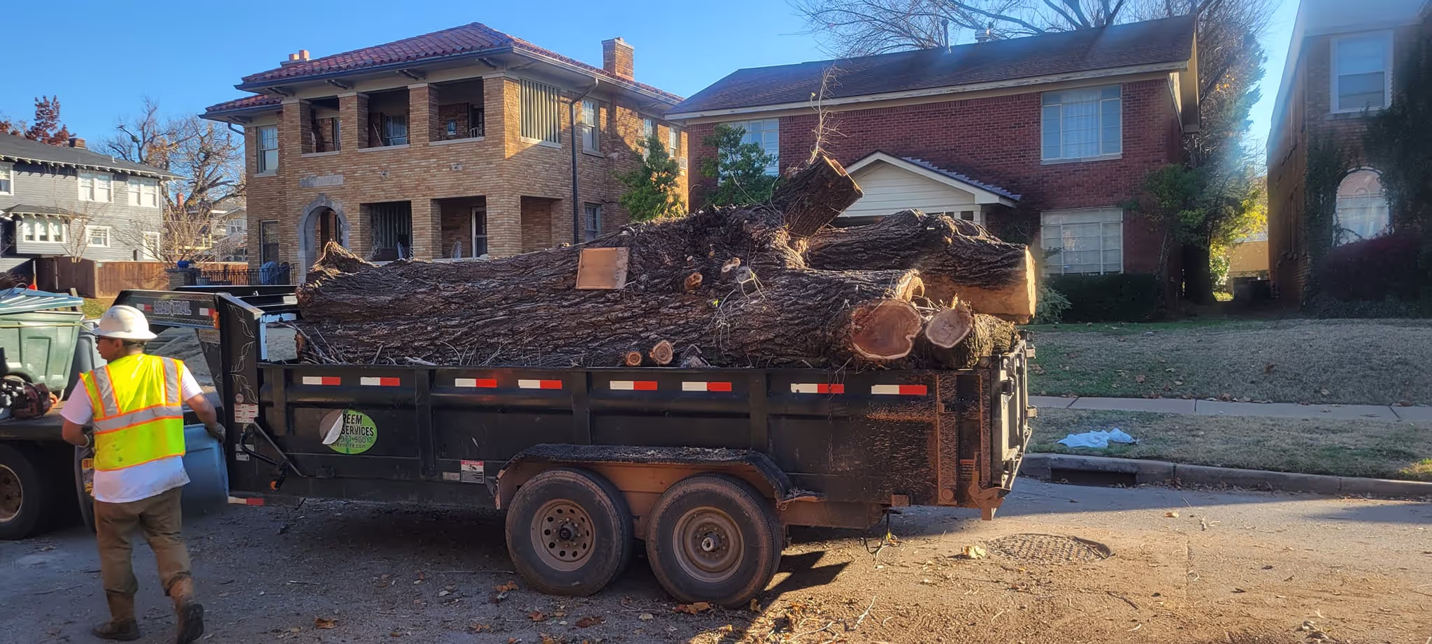 Climber sectioning a tree during removal