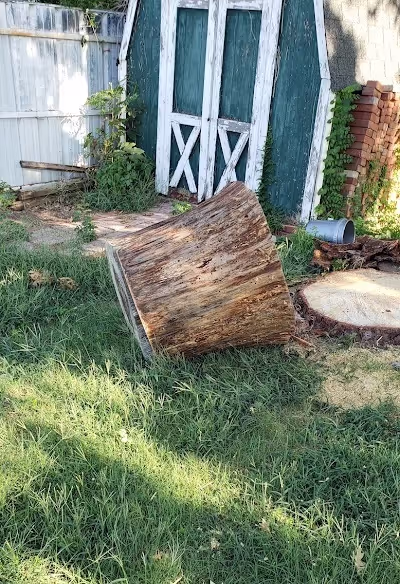 Stump Grinding & Removal by Xtreem Tree Services