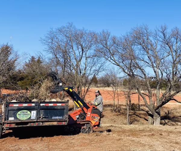 Land Clearing by Xtreem Tree Services