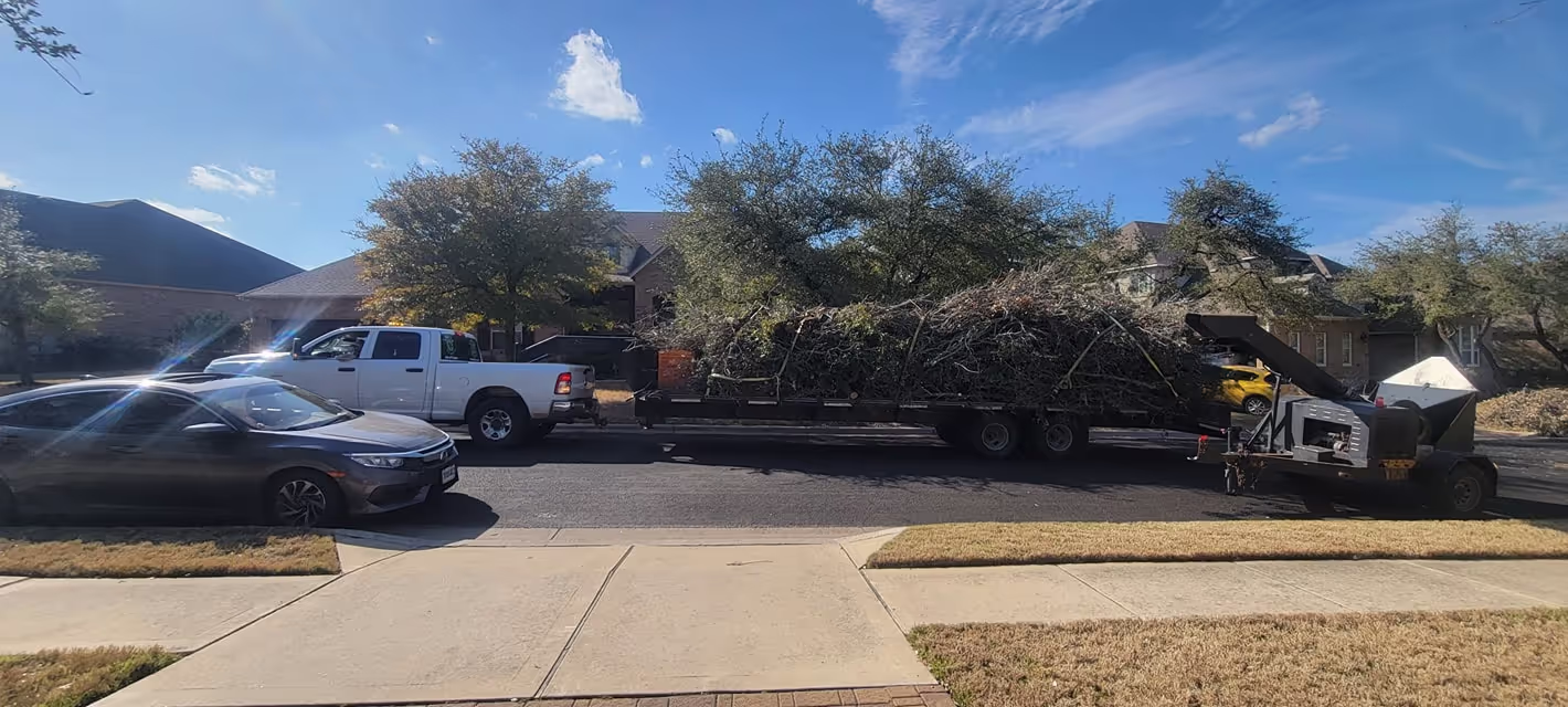Removing a tree beside a house